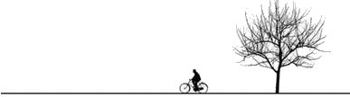 树自行车分割线